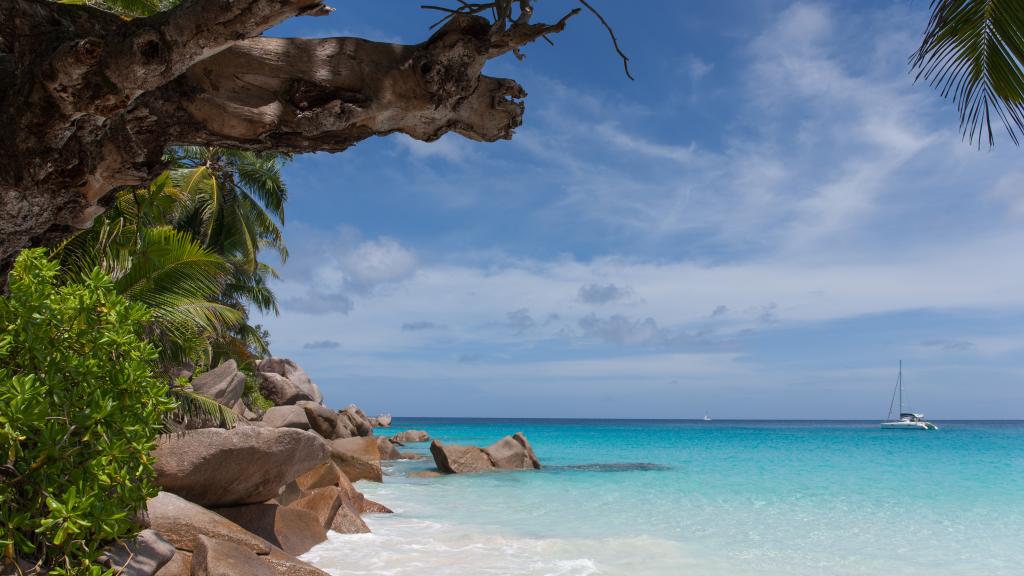 Photo 13: Anse Georgette - Praslin (Seychelles)