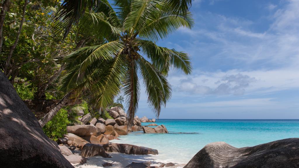 Foto 19: Anse Georgette - Praslin (Seychelles)