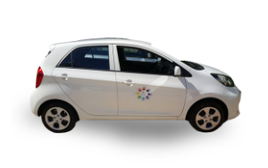 Image - Location de voitures aux Seychelles: Kia Picanto