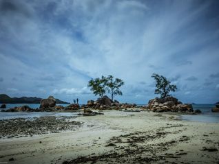 private-guided-tour-tropik-travel-tours-private-full-day-excursion-praslin-island-img-803