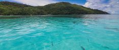 Excursions: Tropical Paradise Boat Charter - Tropical Cruise