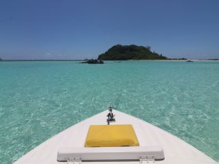 private-guided-tour-tropical-paradise-boat-charter-tropical-experience-img-1154