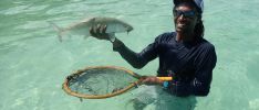 Excursion: GT Dream - Fly Fishing Guide on Mahé - Full Day