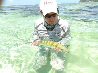 fishing-tour-gt-dream-fly-fishing-guide-on-mahe-full-day-img-1390