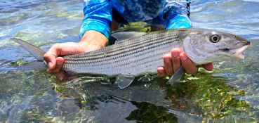 GT Dream - Fly Fishing Guide on Mahé - Full Day