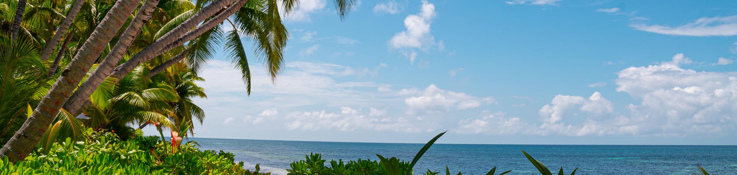 Image of beach Georgette on Praslin, Seychelles