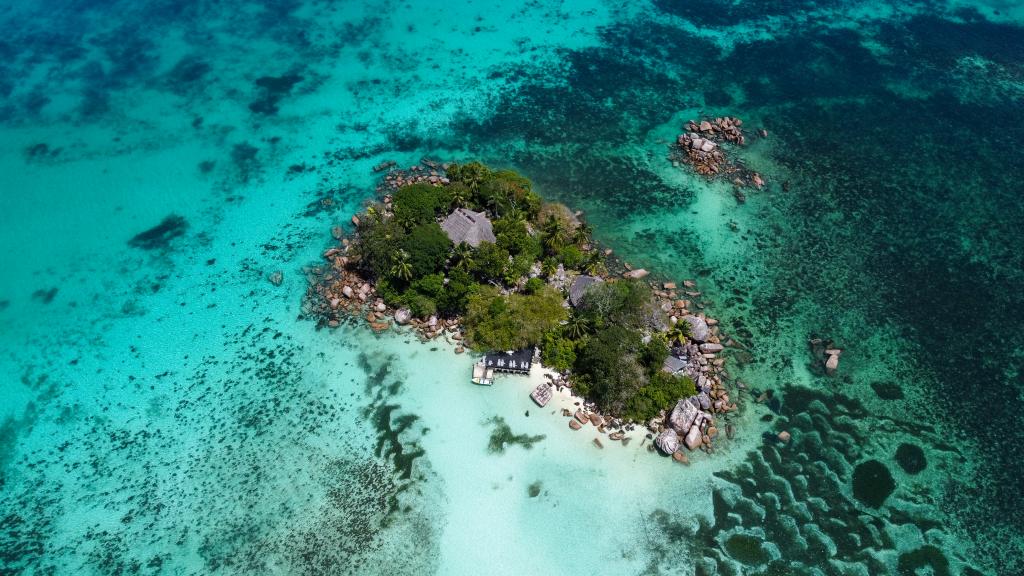 Chauve Souris Chauve Souris