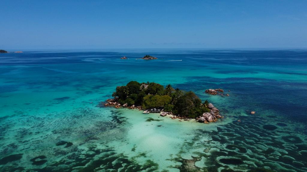 Chauve Souris Chauve Souris