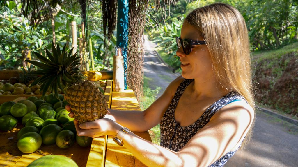 An der Energy Bar können Besucher einige Früchte probieren An der Energy Bar können Besucher einige Früchte probieren