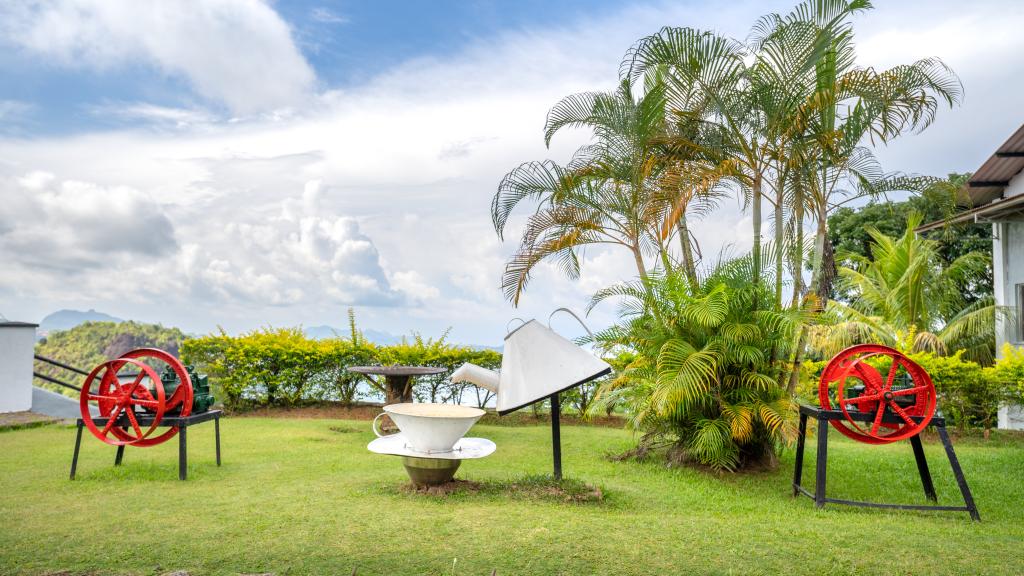 La fabbrica del tè a Mahé