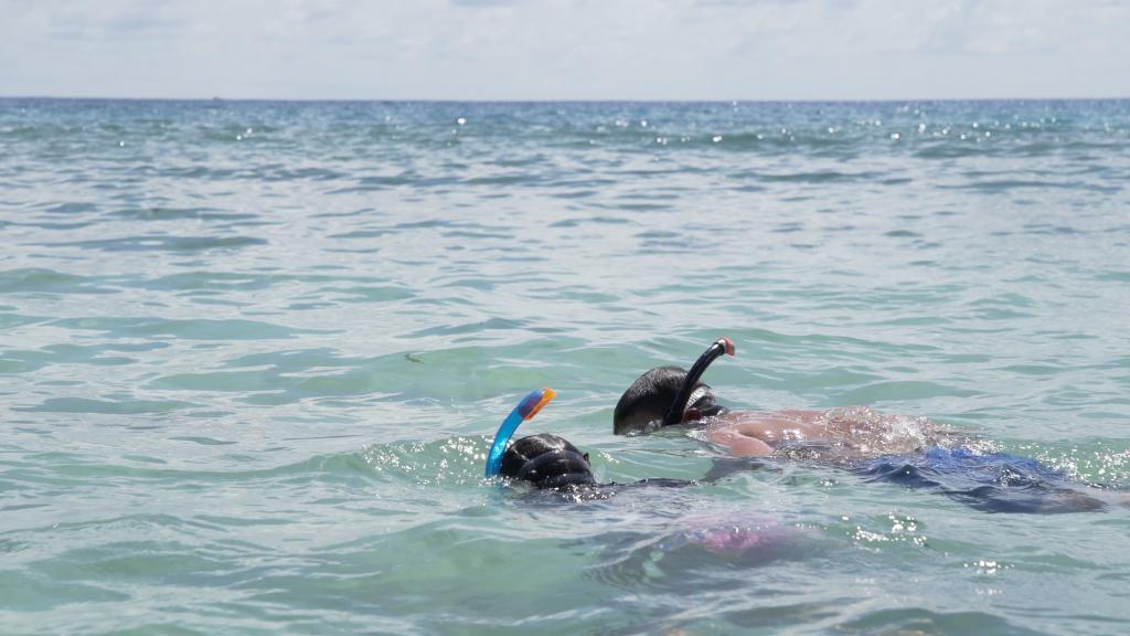 Snorkelling presso la Anse Takamaka