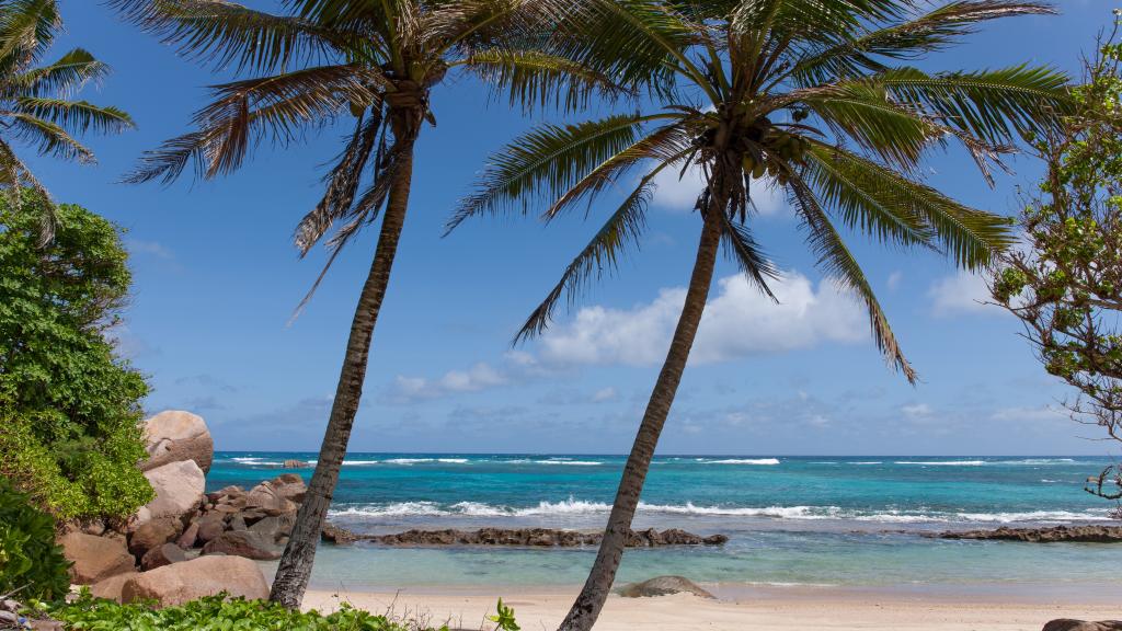 Anse Consolation, Praslin