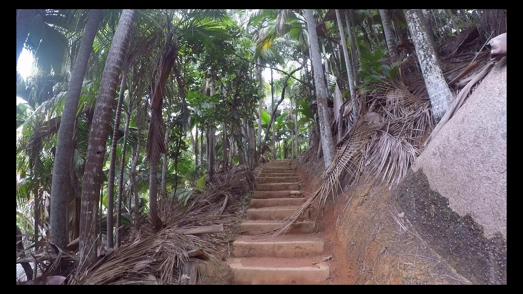 Treppen durch den Park Treppen durch den Park