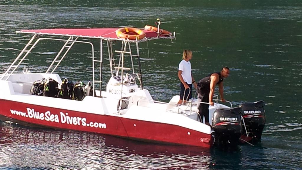 Les plongeurs sur un bateau