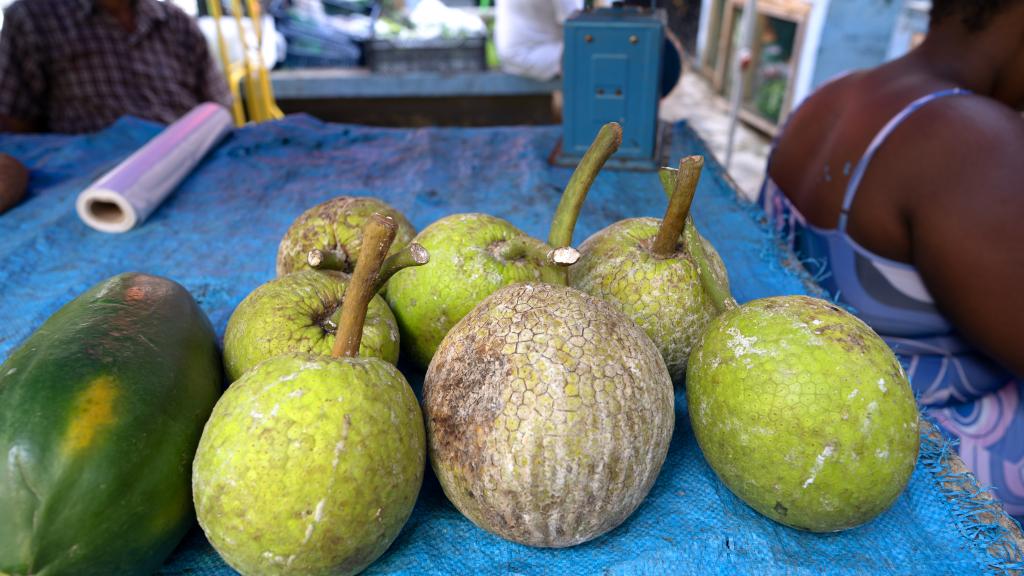 Papaya & Brotfrüchte Papaya & Brotfrüchte