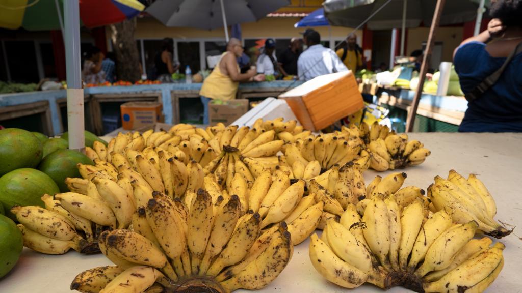 Bananen sind auf den Seychellen besonders schmackhaft Bananen sind auf den Seychellen besonders schmackhaft