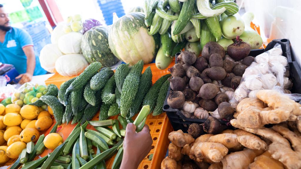 Okraschoten, Bittergurken, Ingwer, Rote Beete & Kürbisse Okraschoten, Bittergurken, Ingwer, Rote Beete & Kürbisse