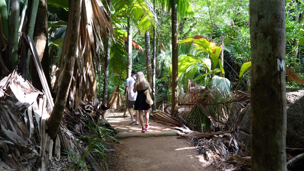 Wanderpfade im Vallée de Mai, Praslin Wanderpfade im Vallée de Mai, Praslin