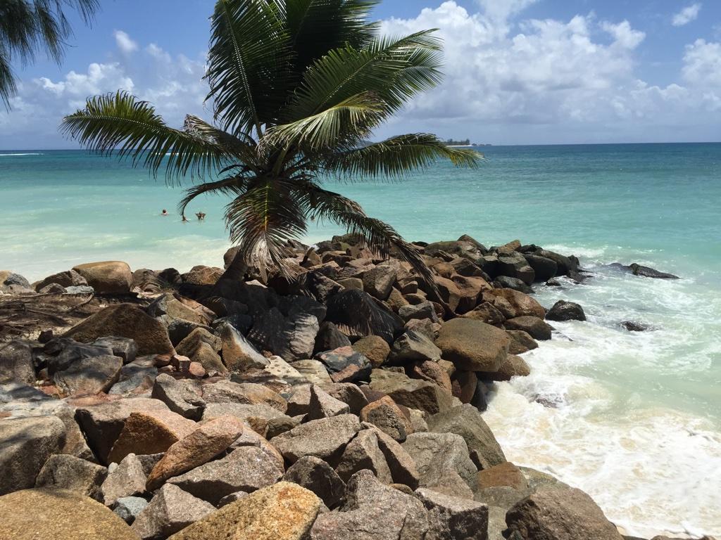 Anse Lazio, Praslin