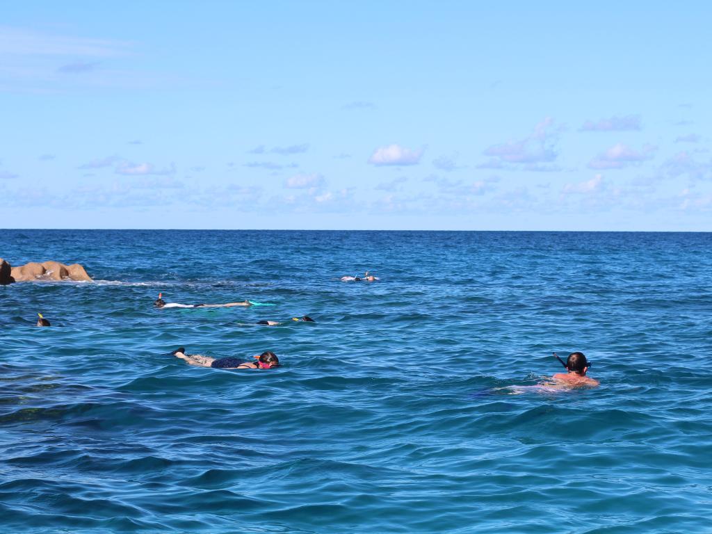 Snorkelling