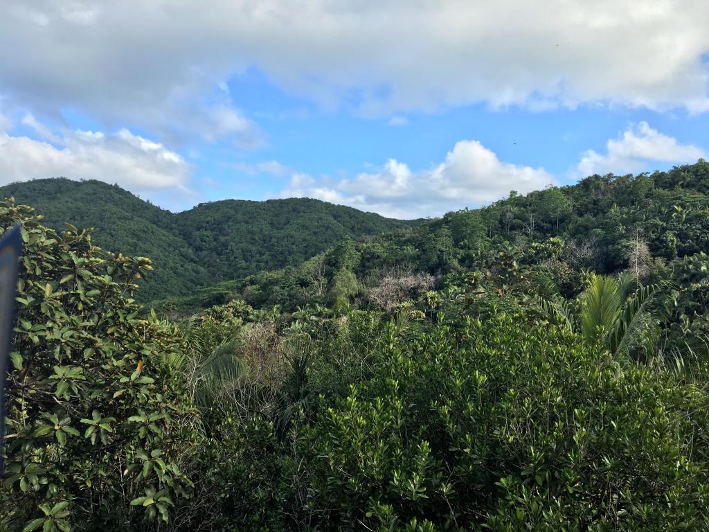 Praslin,Vallée de Mai