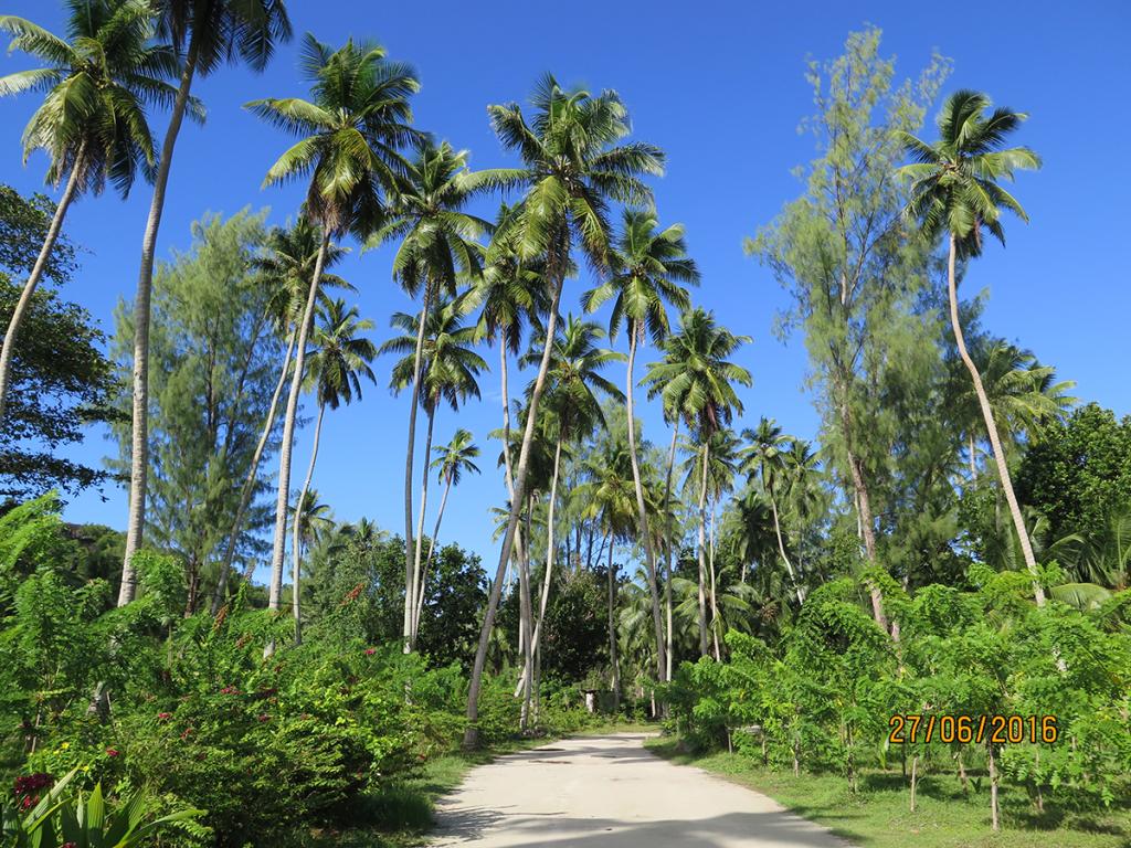 La Digue, Grand Anse