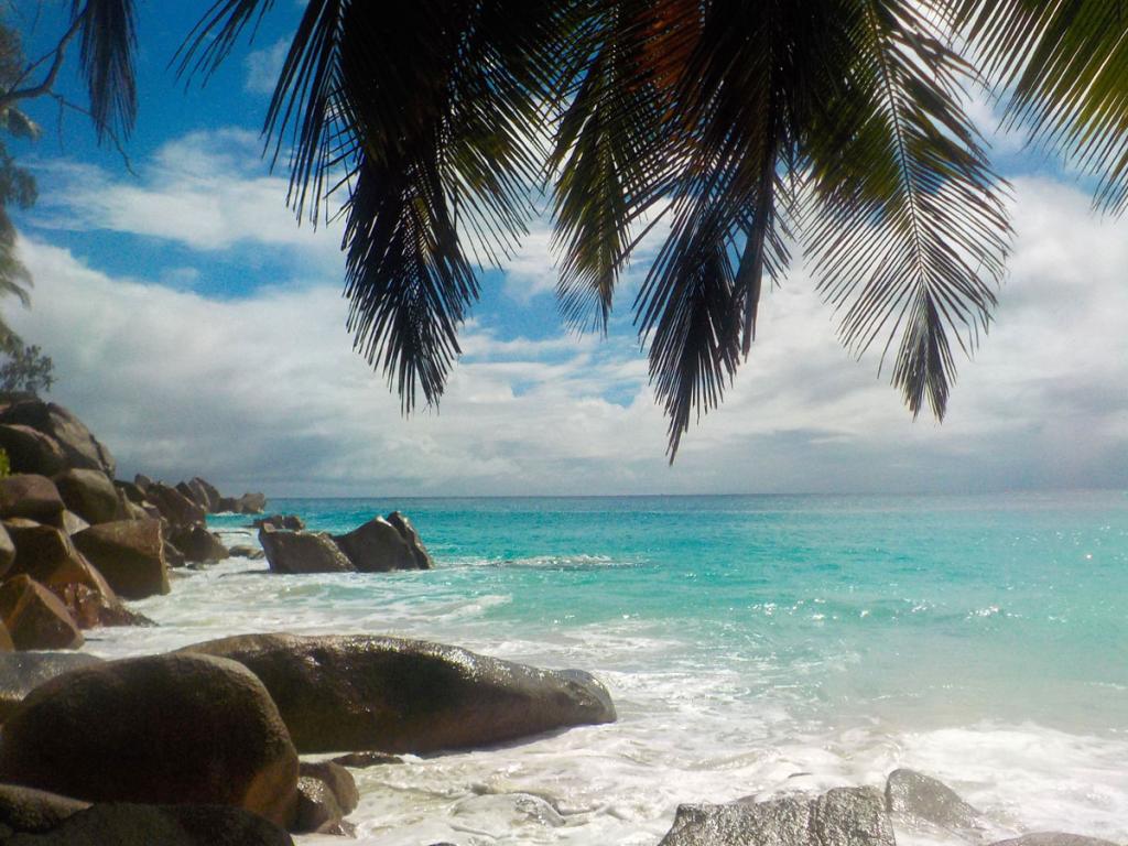 Strand von Cousine Island