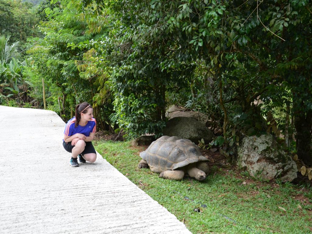 Begegnung mit der ersten Riesenschildkröte