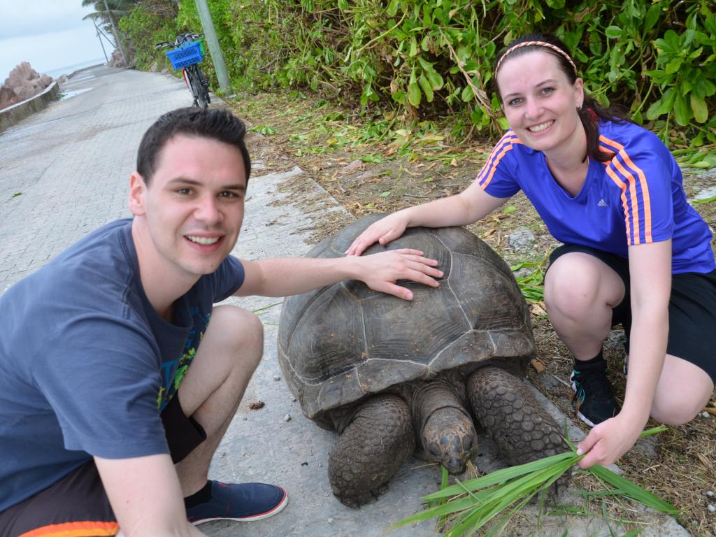 Schildkröte am Radweg