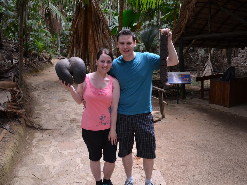 Coco de Mer Palme im Vallée de Mai