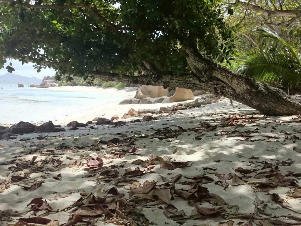 Anse Source d‘Argent