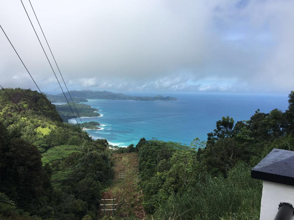 Ausblick von der Tea Factory