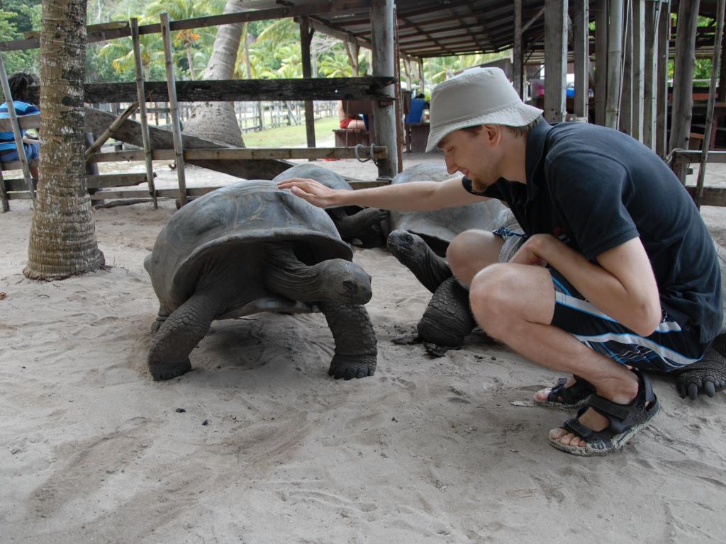 Schildkröte auf der Insel Curieuse