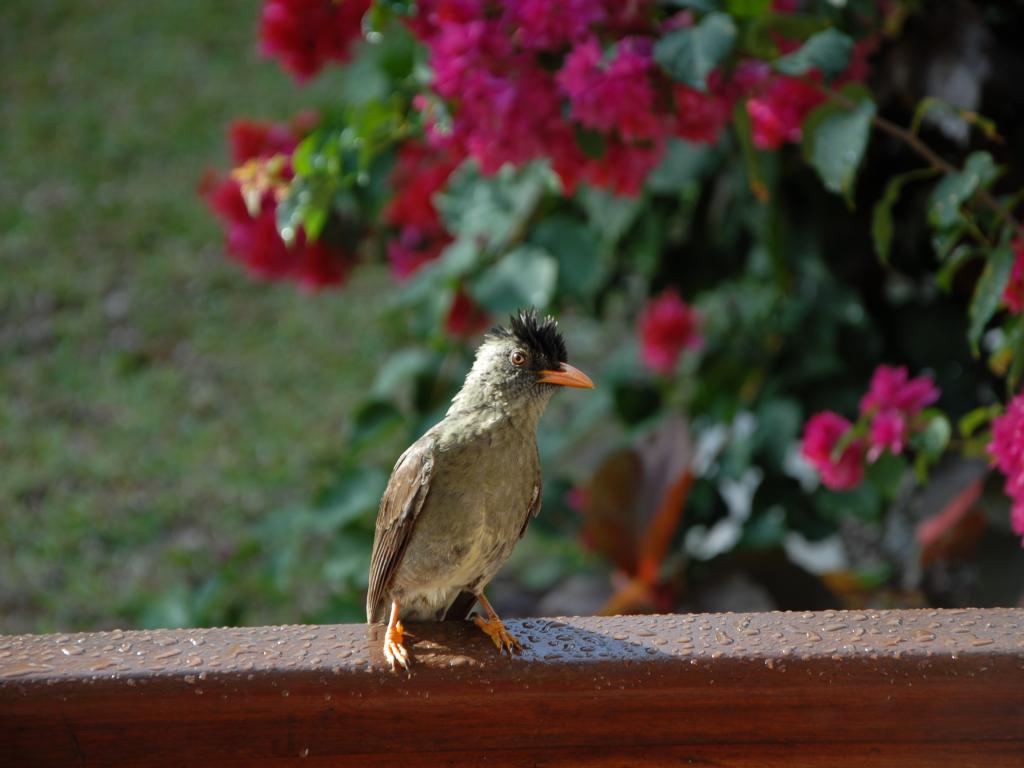 Besucher beim Frühstück