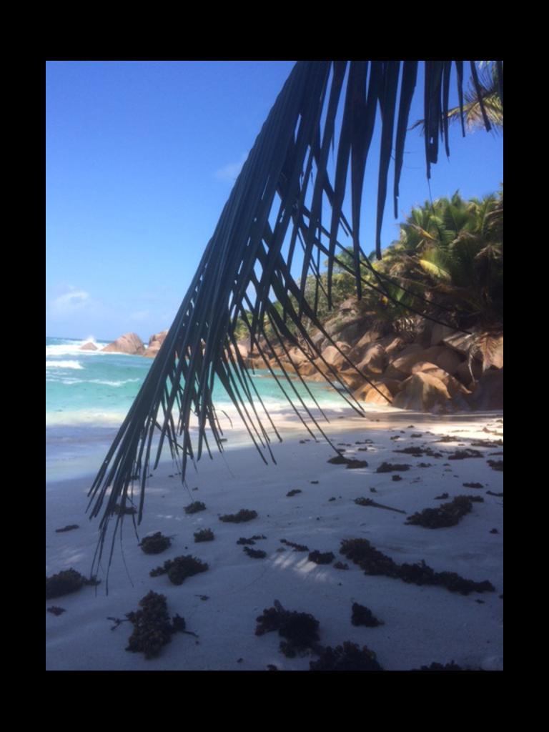 Anse Cocos, La Digue