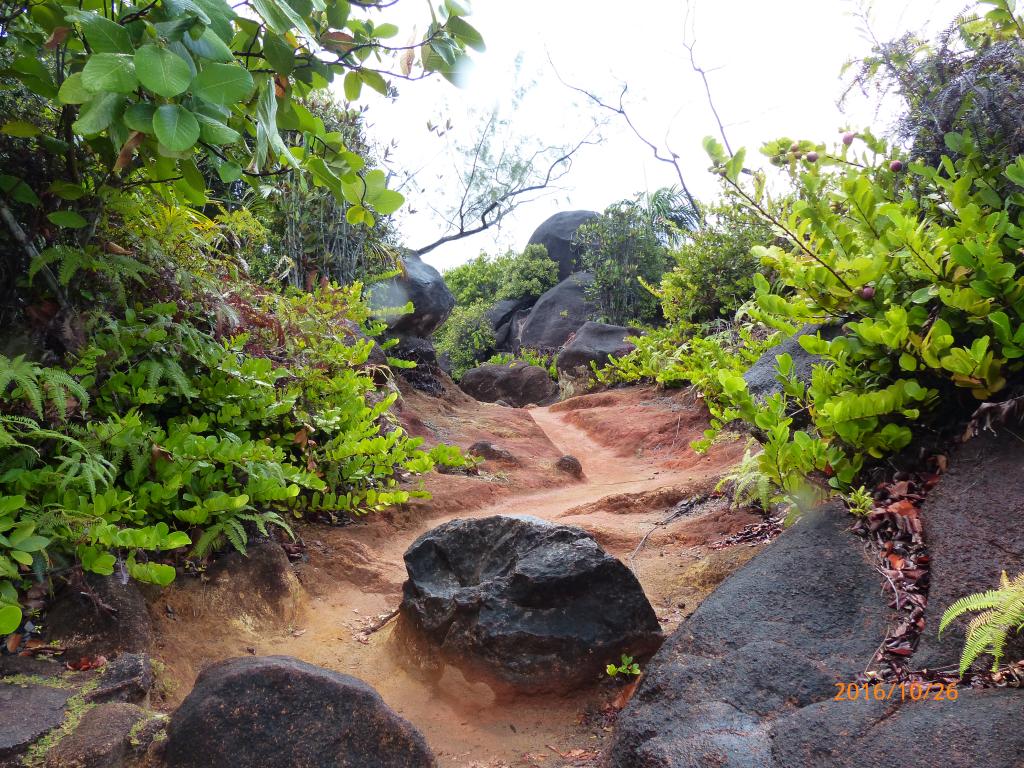 Wanderweg zur Anse Major