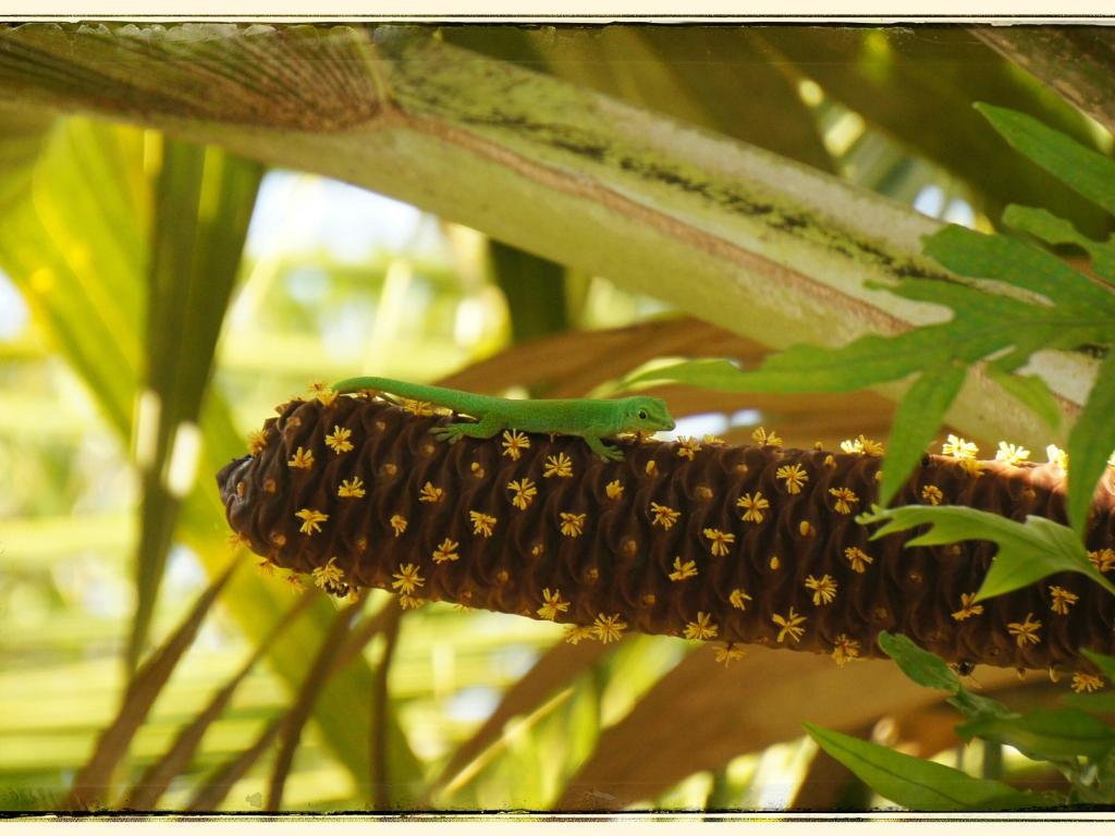 Flora und Fauna im Found Ferdinand Park