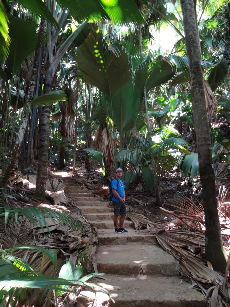 Praslin, Vallée de Mai