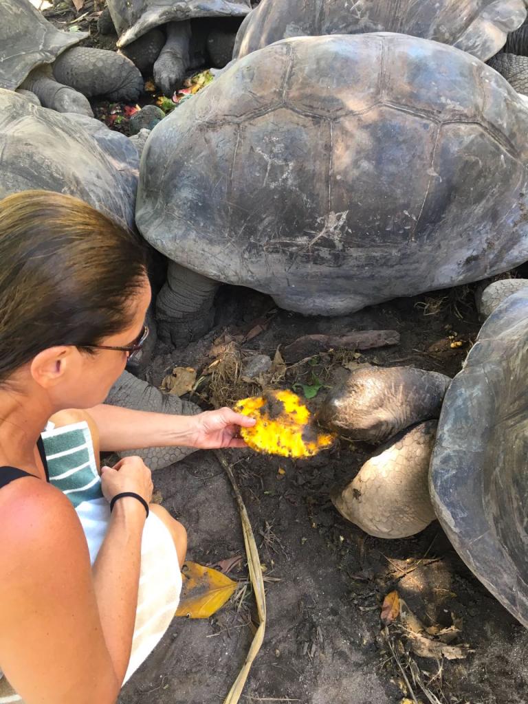 Abbiamo dato da mangiare alle tartarughe giganti a La Digue