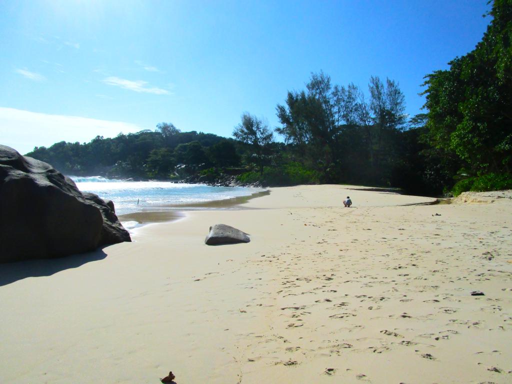 Mahe, Anse Takamaka