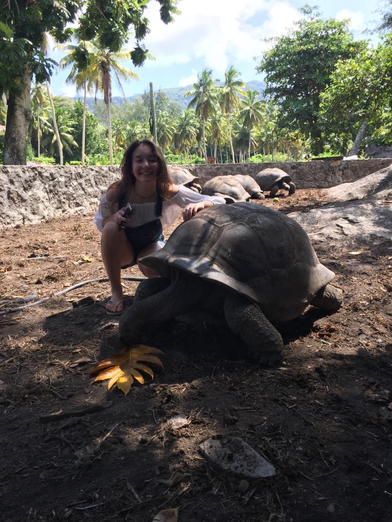 La Digue Schildkröte im Freien