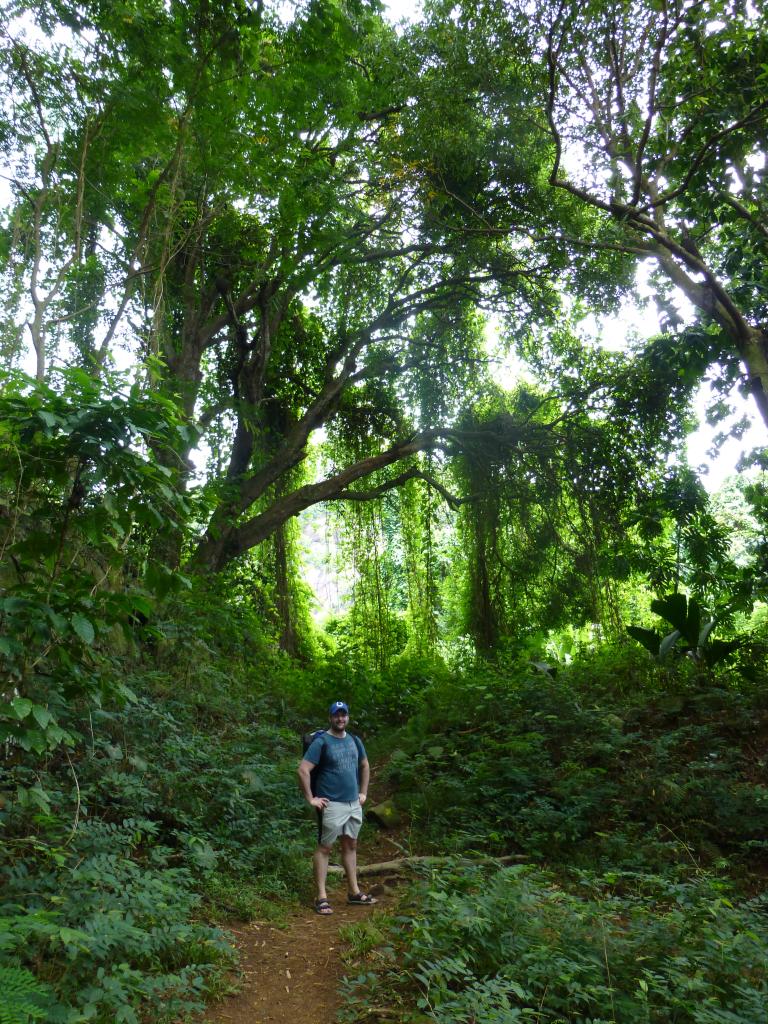 Wanderweg zum Anse Major, Mahé