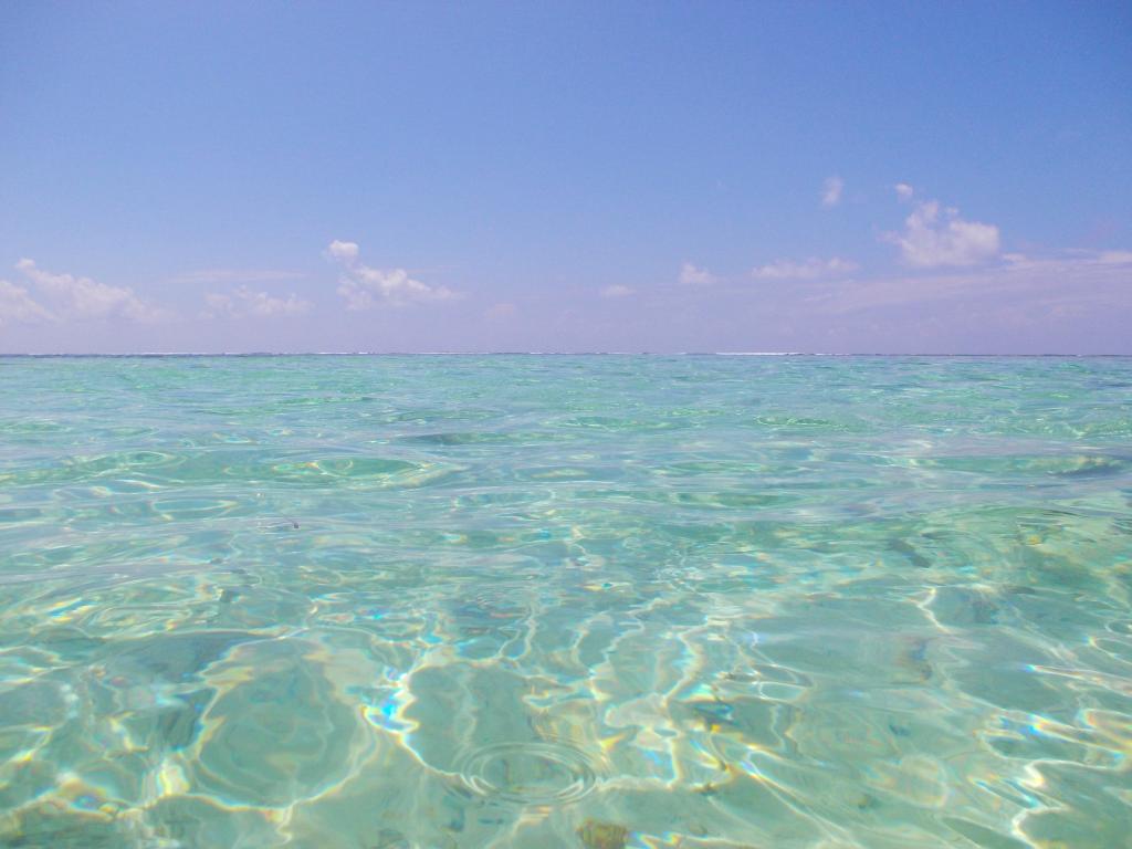 L'acqua cristallina di Anse Royale