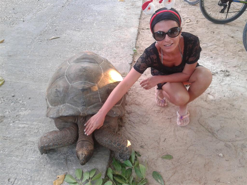 Tartaruga Gigante a La Digue