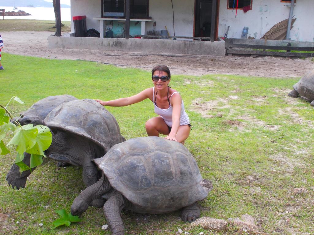 Tararughe a Curieuse Island