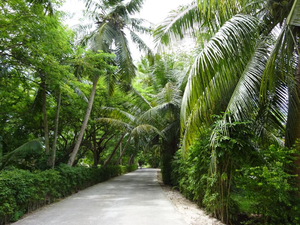 Straße auf La Digue