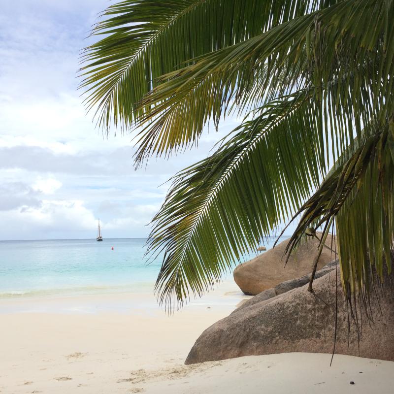 Praslin, Anse Lazio