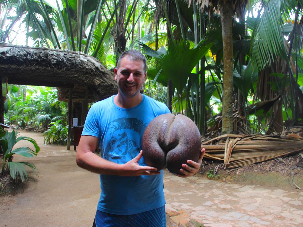 La noce di Coco de Mer