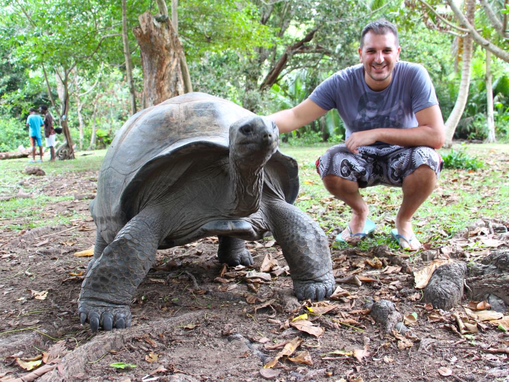 Tartaruga Gigante