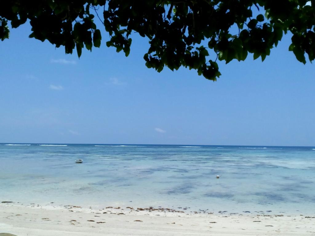 Ausblick von der Terrasse Villa Dorado